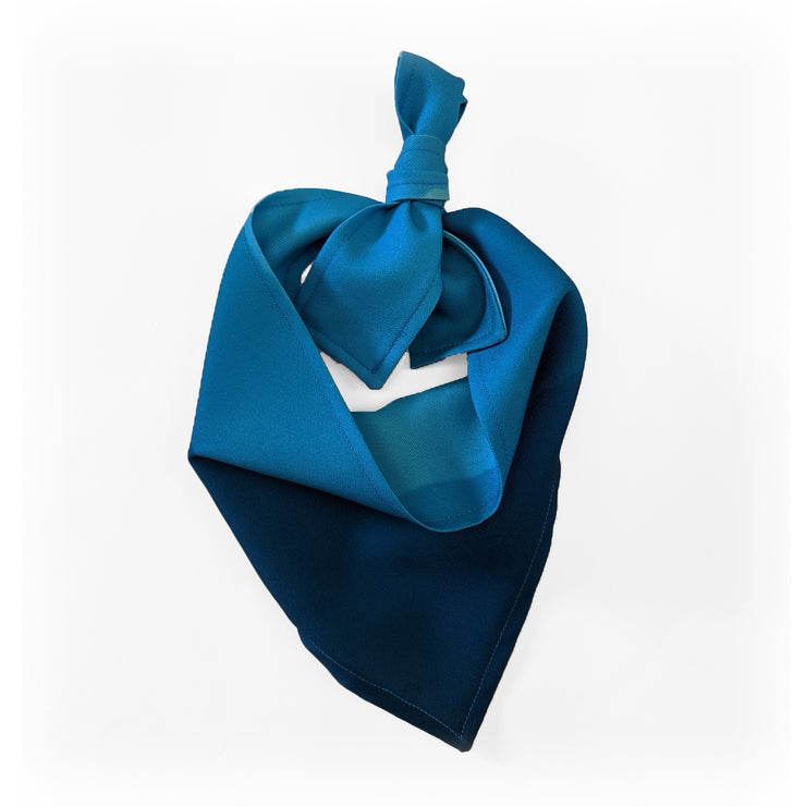 TDI - Pet Bibs
