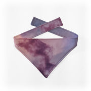 TDI - Pet Bibs