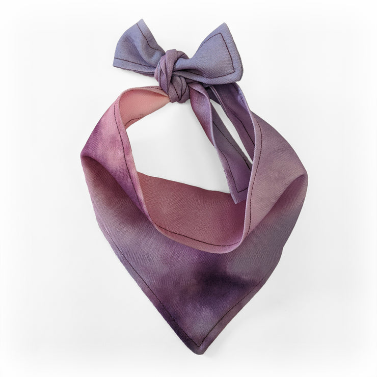 TDI - Pet Bibs